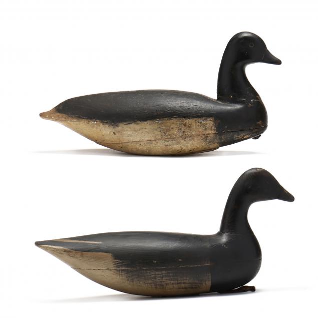 two-early-new-jersey-brant