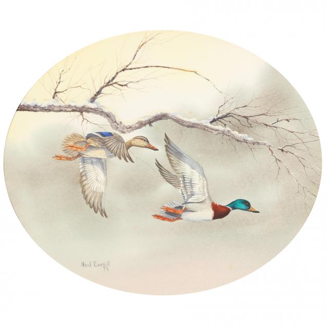 ned-ewell-watercolor-of-mallards-in-flight