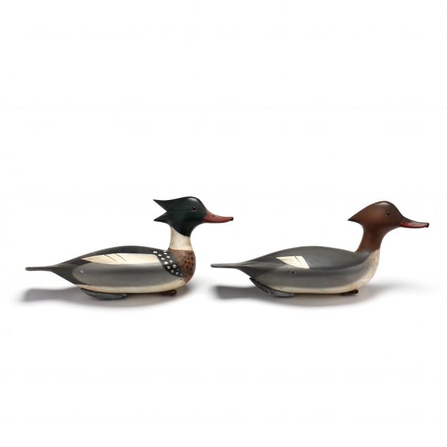 pete-hurricane-peterson-va-red-breasted-merganser-pair