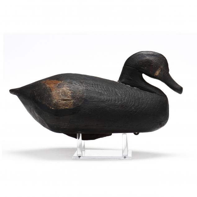 attributed-to-sam-smith-nc-swan-island-club-ruddy-duck