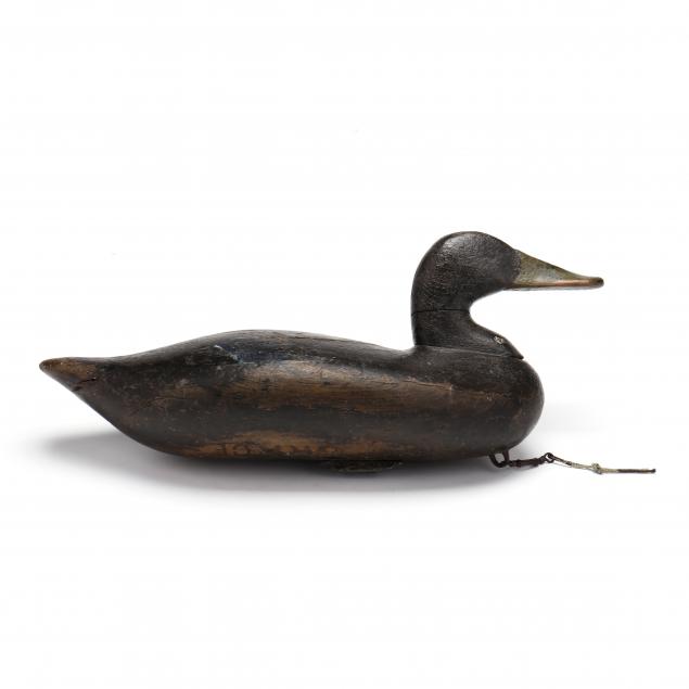 james-holly-md-1855-1935-black-duck