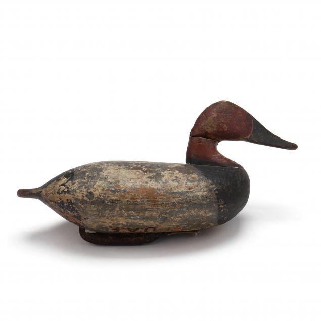 anonymous-maryland-canvasback-branded-daf