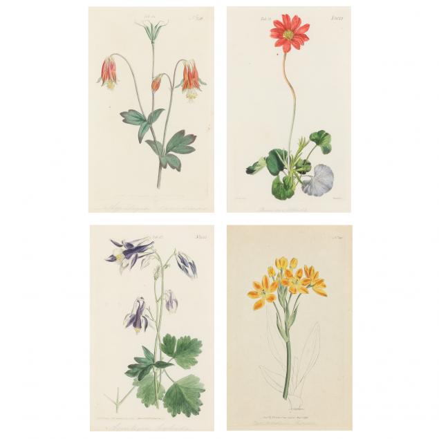 four-antique-floral-botanical-engravings
