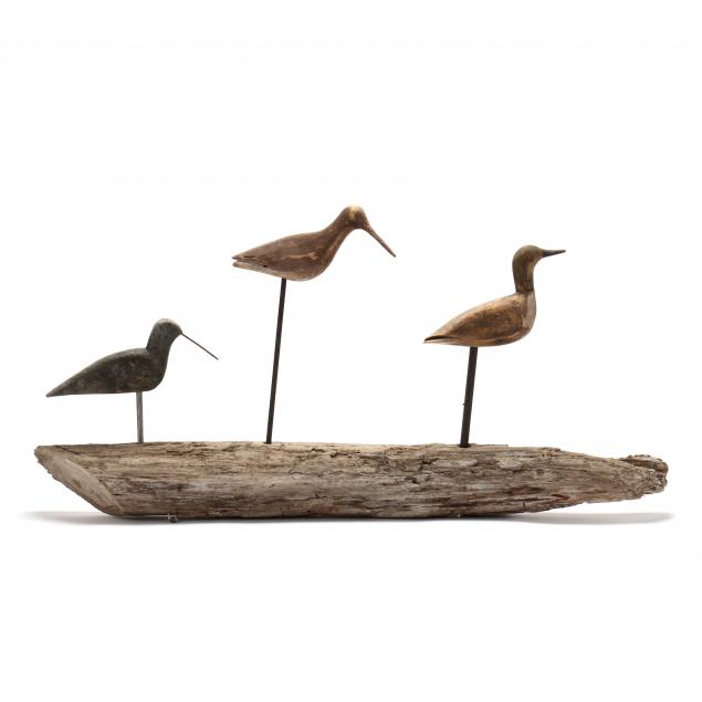 trio-of-hatteras-shorebirds-on-driftwood