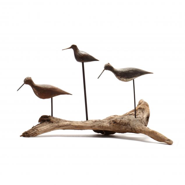 trio-of-northern-outer-banks-shorebirds-on-driftwood-two-published