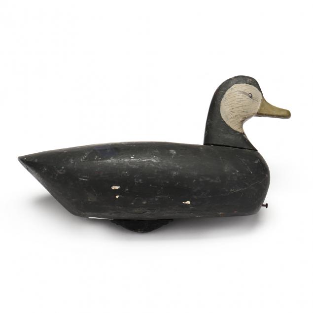 joe-perry-nc-1893-1981-published-black-duck