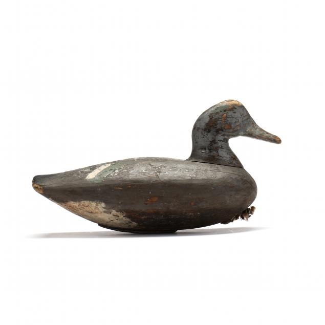 ivey-stevens-va-1876-1947-widgeon