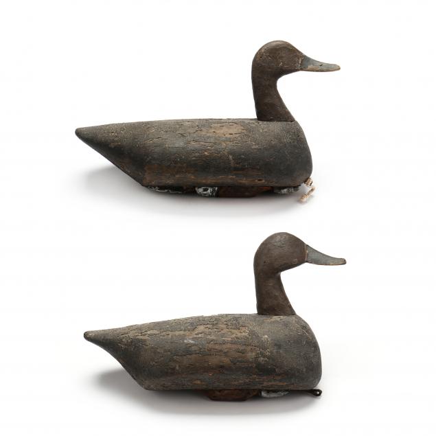 currituck-high-head-pintail-pair