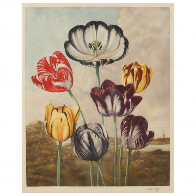 arthur-hogg-british-1872-1949-i-tulips-i