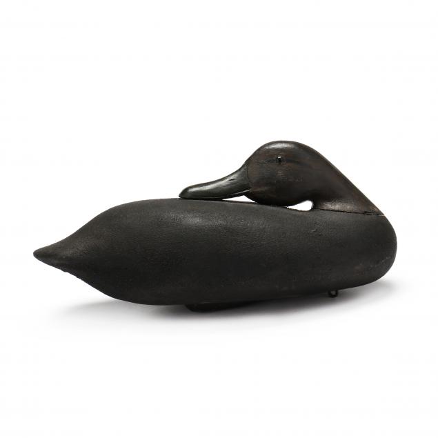 attributed-to-south-carolina-sleeping-black-duck