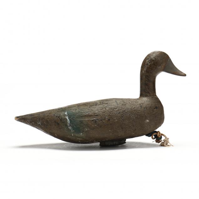 lawrence-howard-nc-1891-1975-hen-pintail-high-head