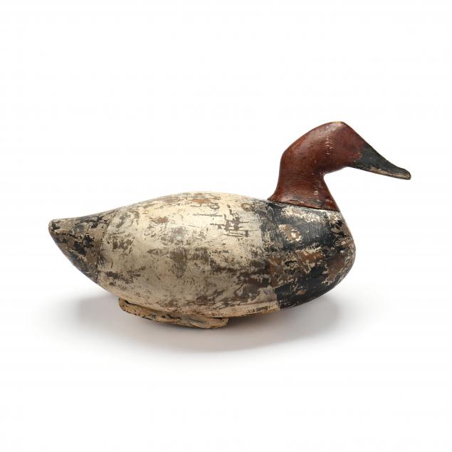 ivey-stevens-va-1876-1947-canvasback