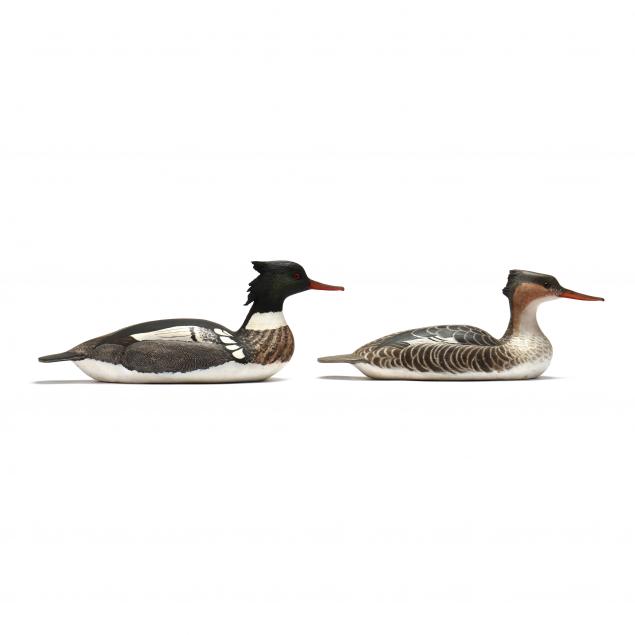 reggie-birch-va-b-1953-pair-of-red-breasted-mergansers