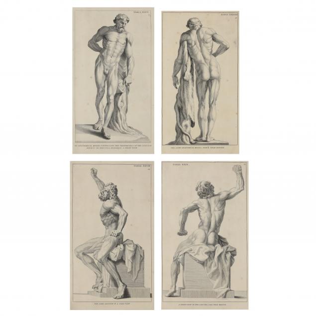 four-copperplate-engravings-from-i-anatomy-improv-d-i