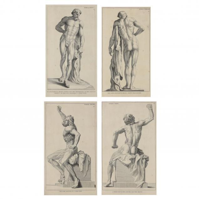 four-copperplate-engravings-from-i-anatomy-improv-d-i