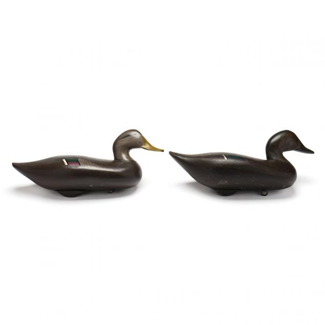 madison-mitchell-md-1901-1993-pair-of-black-ducks