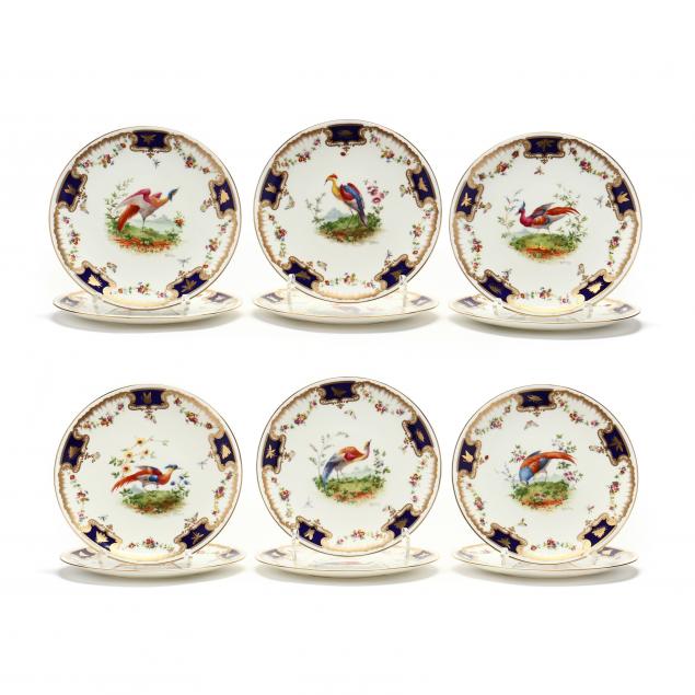 twelve-royal-doulton-exotic-bird-porcelain-cabinet-plates