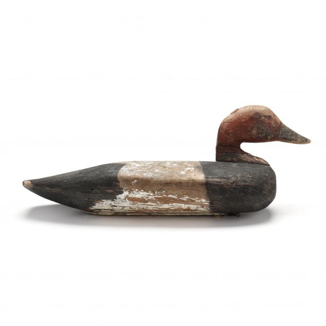 published-charlie-styron-nc-1875-1957-canvasback