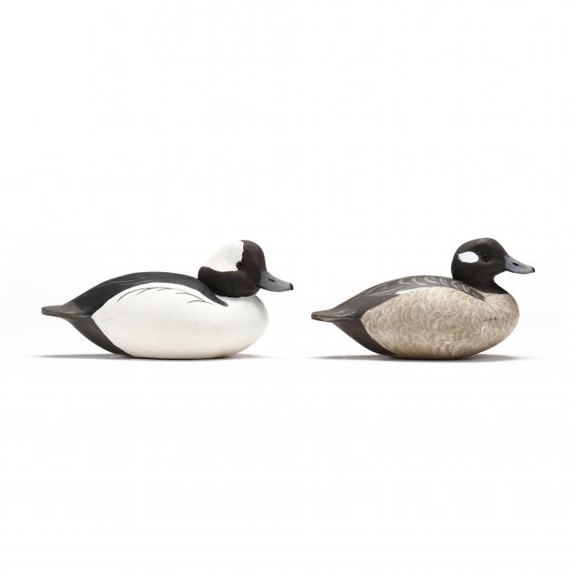 reggie-birch-va-b-1953-pair-of-bufflehead