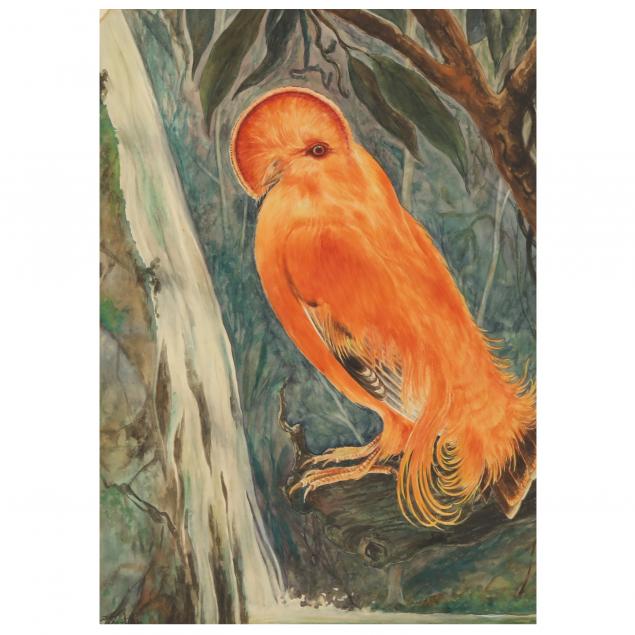 artist-signed-watercolor-of-a-guianan-cock-of-the-rock