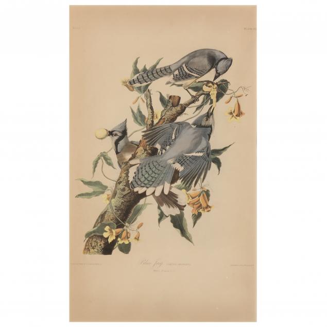 after-john-james-audubon-american-1785-1851-i-blue-jay-i-bien-edition