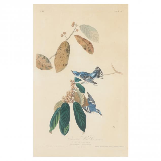 john-james-audubon-american-1785-1851-i-cerulean-warbler-i-havell-edition
