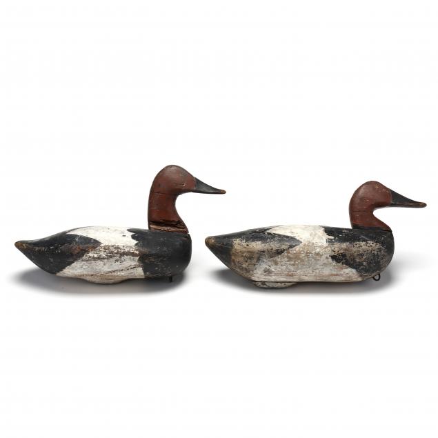 pair-of-upper-bay-canvasbacks