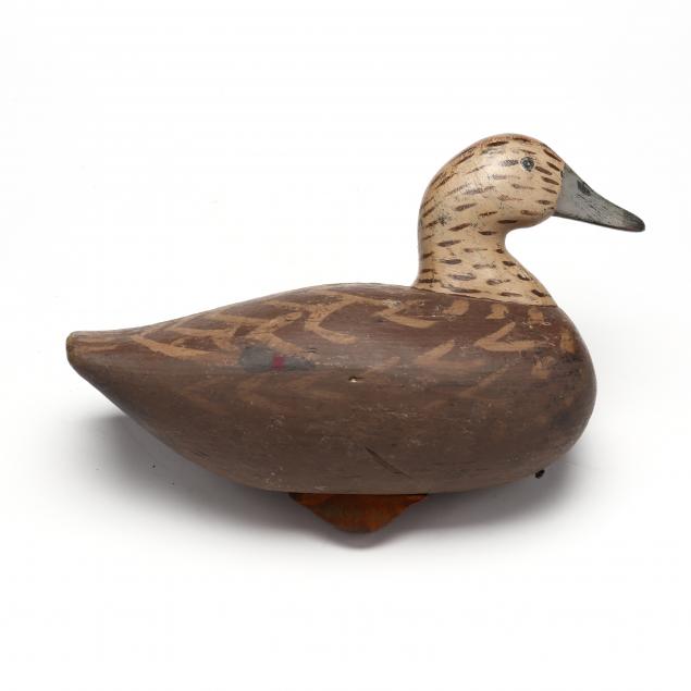 ivey-stevens-va-1876-1947-gadwall