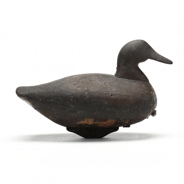 ivey-stevens-va-1876-1947-hen-widgeon