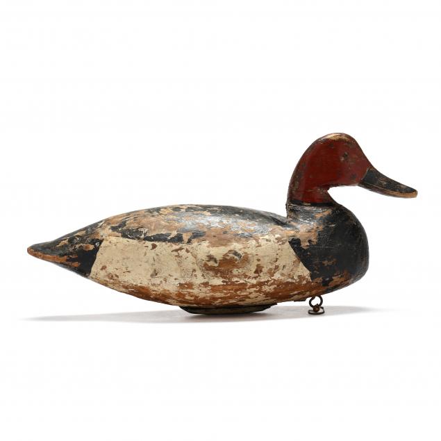 doug-jester-va-1876-1961-canvasback