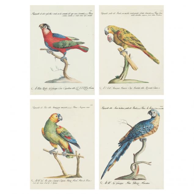 after-saverio-manetti-italian-1723-1784-four-pappagallo-parrot-prints