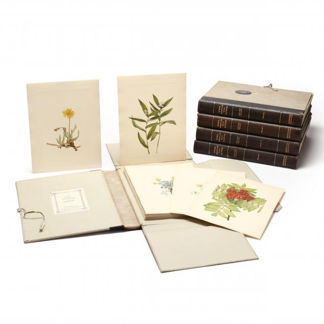 mary-vaux-walcott-american-1860-1940-i-north-american-wildflowers-i-five-portfolios