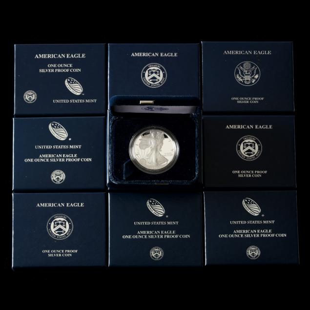 fourteen-14-21st-century-american-eagle-proof-one-ounce-silver-bullion-coins