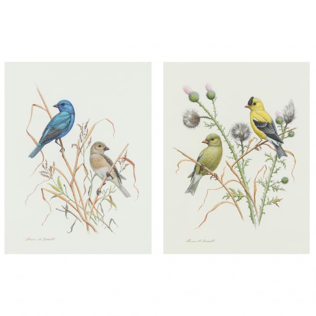 thomas-a-bennett-nc-two-ornithological-watercolors