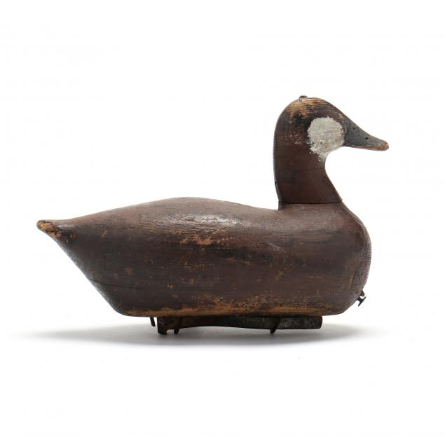 charles-ballance-nc-1858-1933-published-ruddy-duck