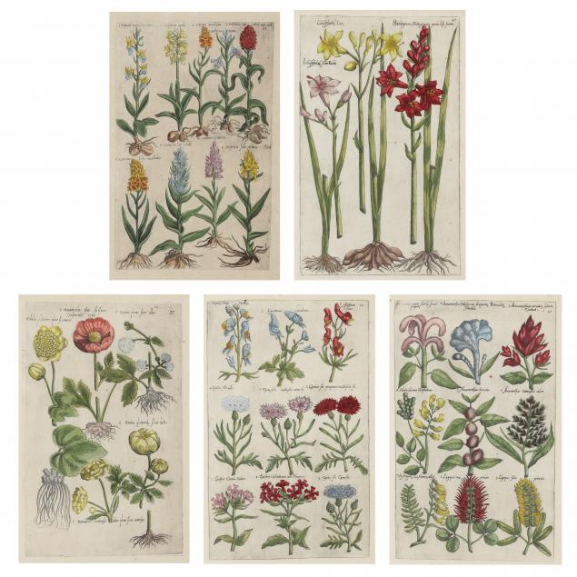 emanuel-sweert-dutch-1552-1612-five-floral-engravings-from-i-florilegium-i