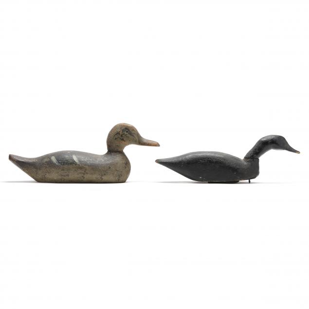 two-working-duck-decoys