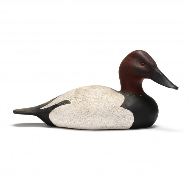 roe-duc-man-terry-va-canvasback