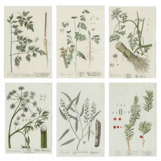 elizabeth-blackwell-scottish-1707-1758-six-antique-botanical-engravings