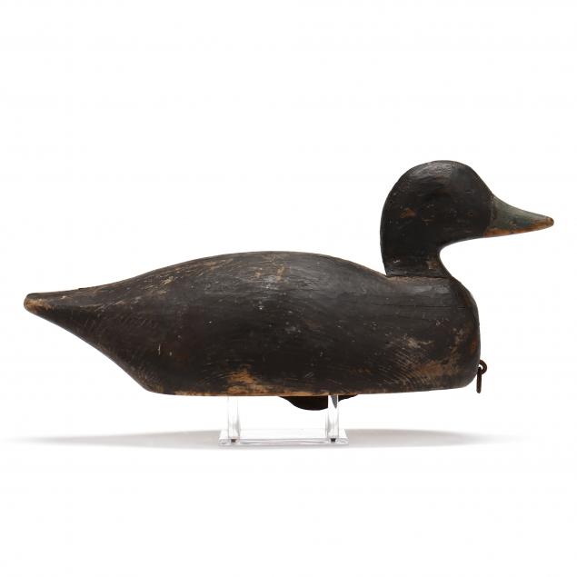 tucker-daniels-nc-1879-1953-black-duck