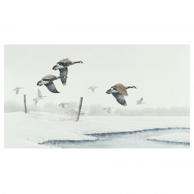 george-shumate-american-geese-in-flight