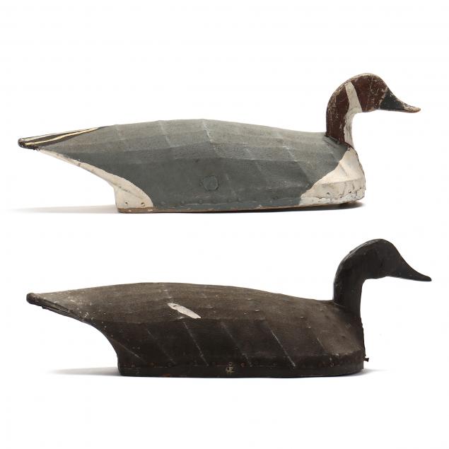 marvin-midgett-nc-1884-1971-pair-of-pintails