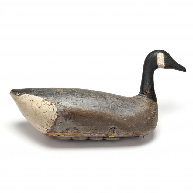 early-ocracoke-goose