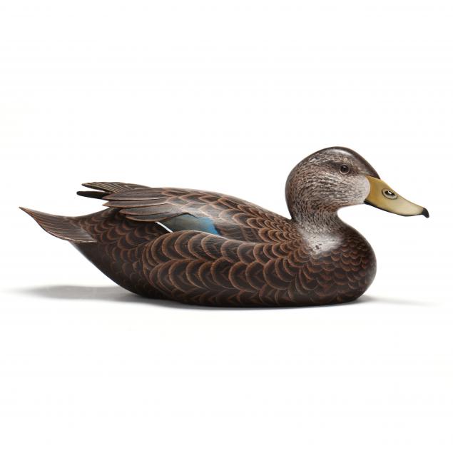 don-briddell-md-black-duck