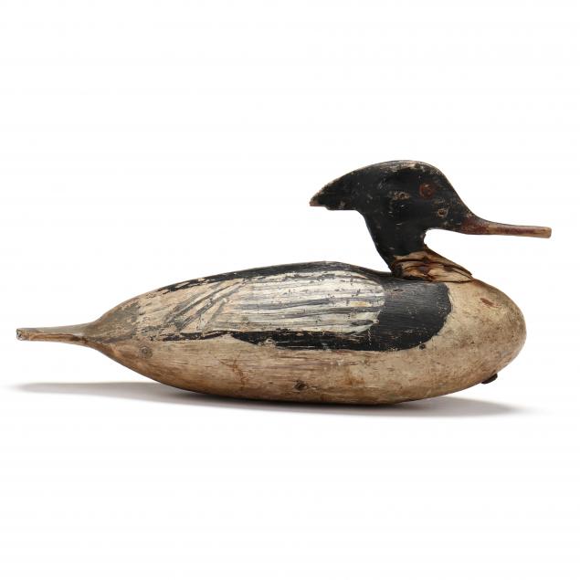 eastern-shore-virginia-merganser-roy-bull-collection