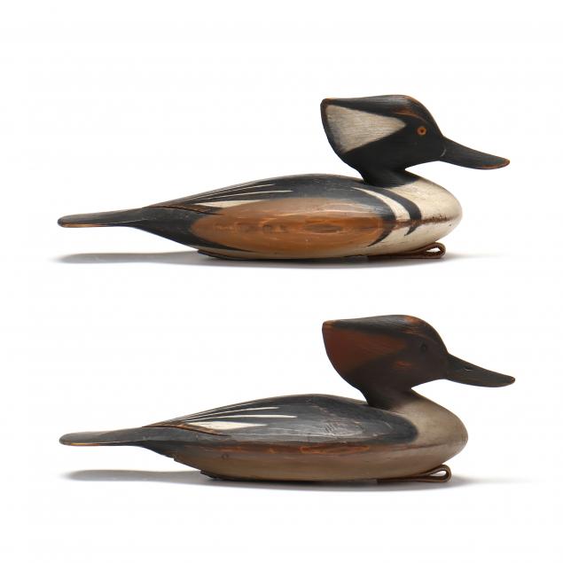 pete-peterson-va-pair-of-hooded-mergansers