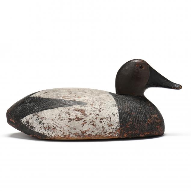 michigan-bobtail-canvasback