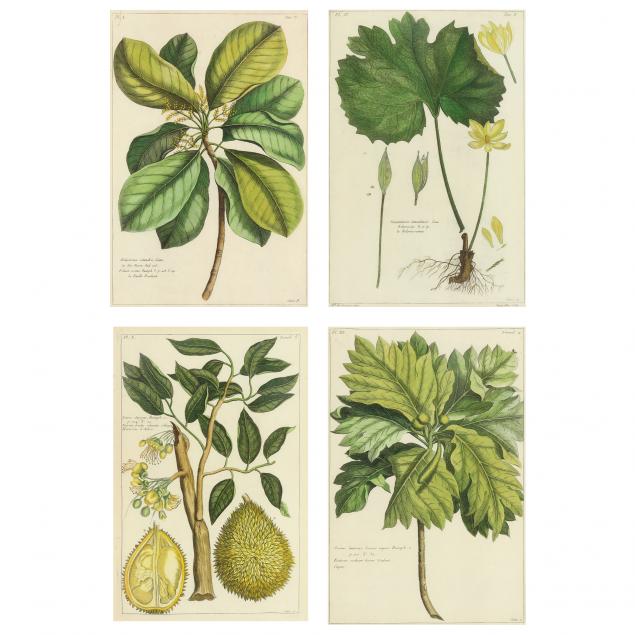 group-of-four-decorative-botanical-prints