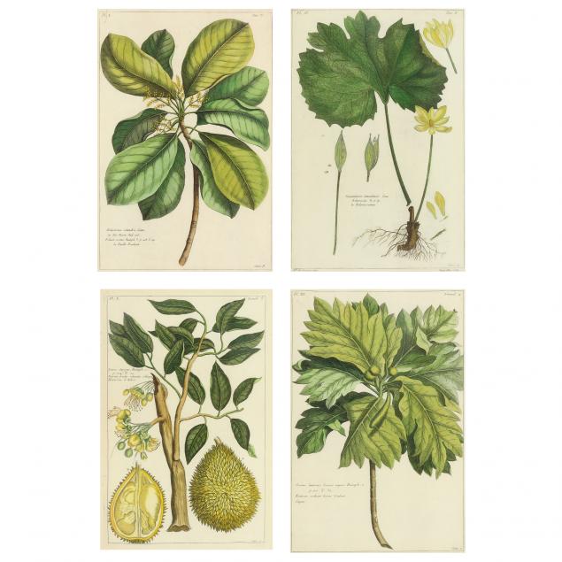 Group of Four Decorative Botanical Prints (Lot 1412 - March Estate ...