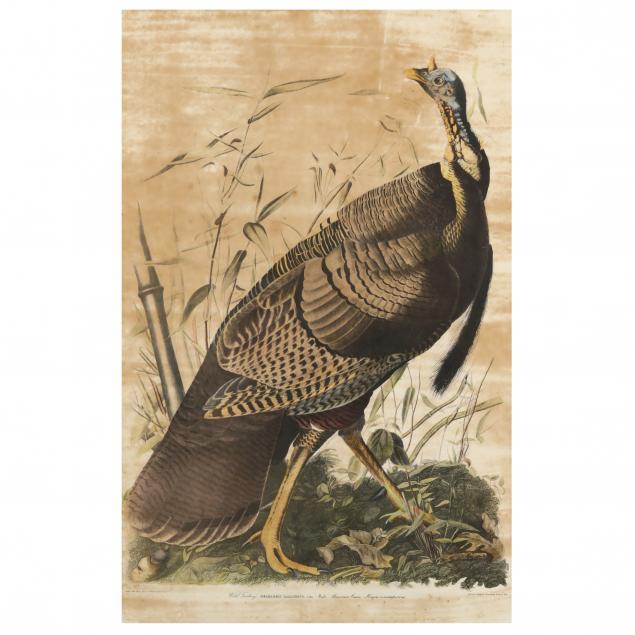 Decorative Print After Audubon S Wild Turkey Lot 264 May Estate